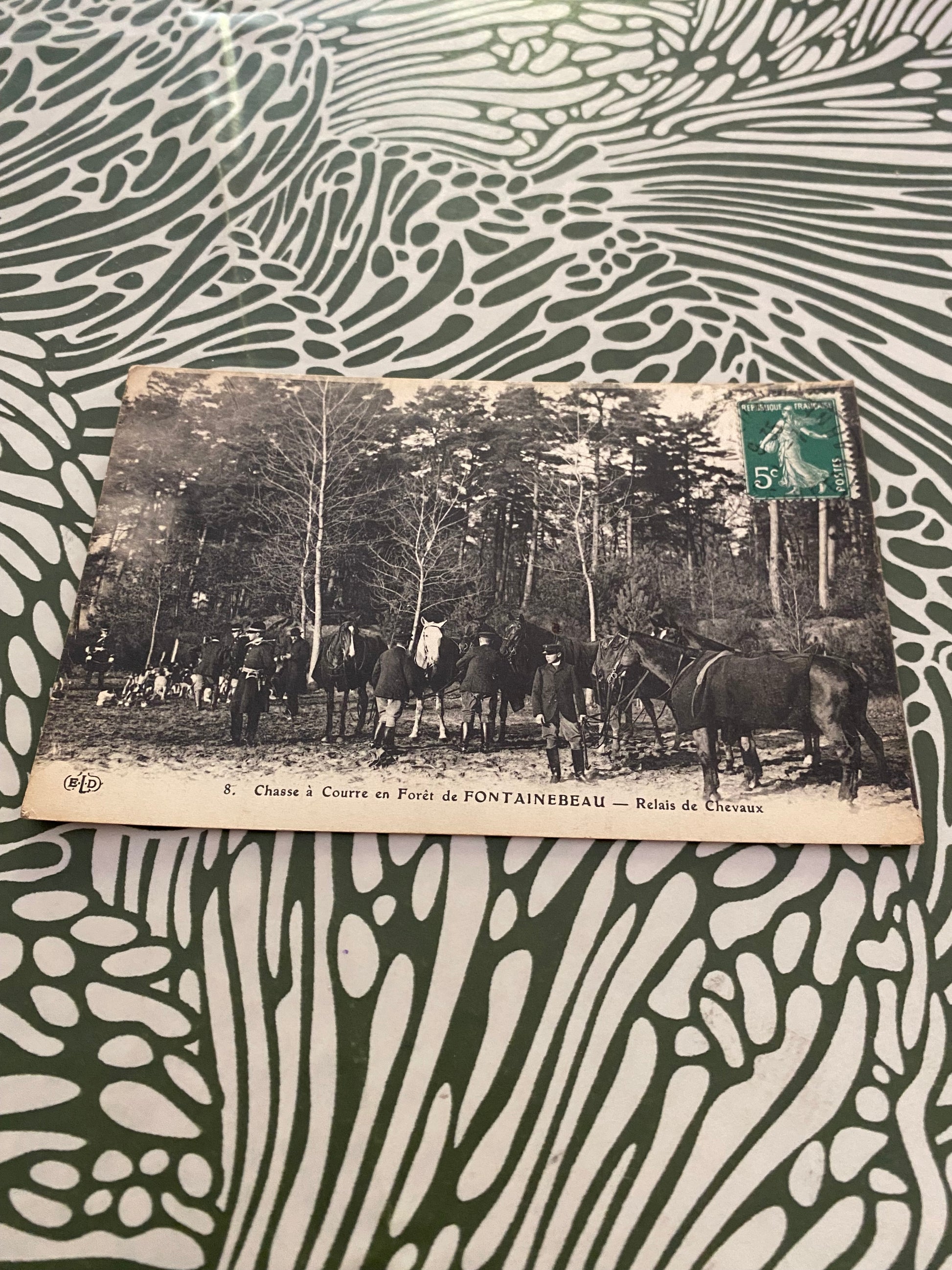Carte postale ancienne. Chasse à courre en forêt de Fontainebleau. Relais de cheval