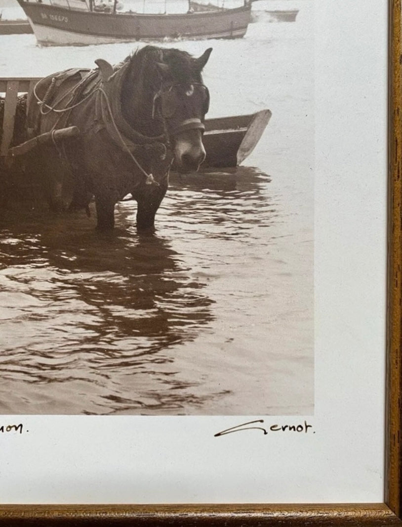 Photo véritable Gernot numérotée et signée la récolte du goémon