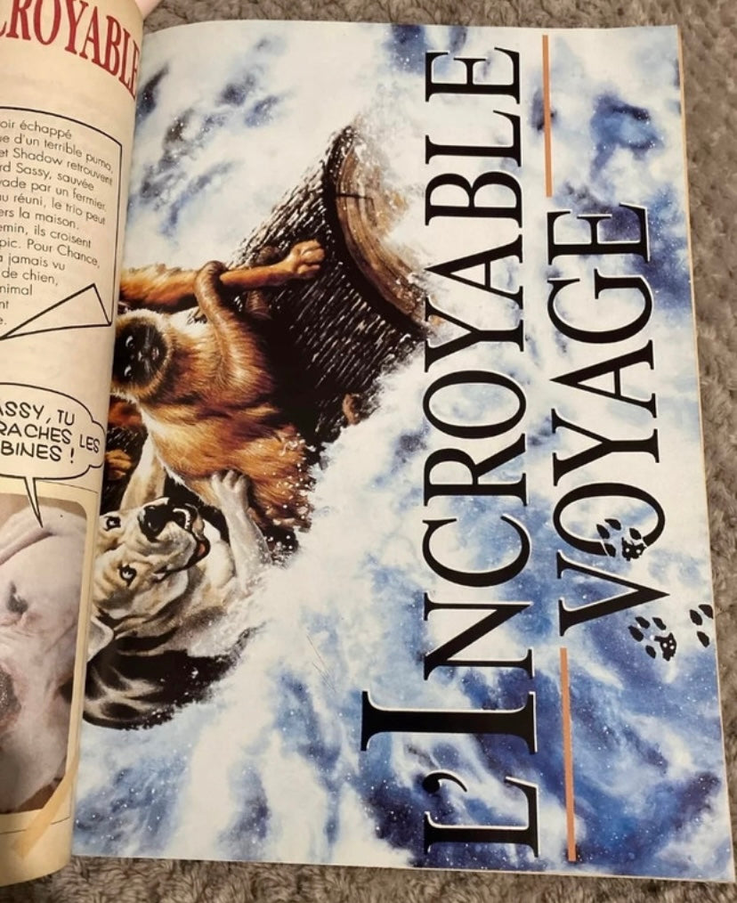 Bd ancienne le journal de Mickey numéro 2156