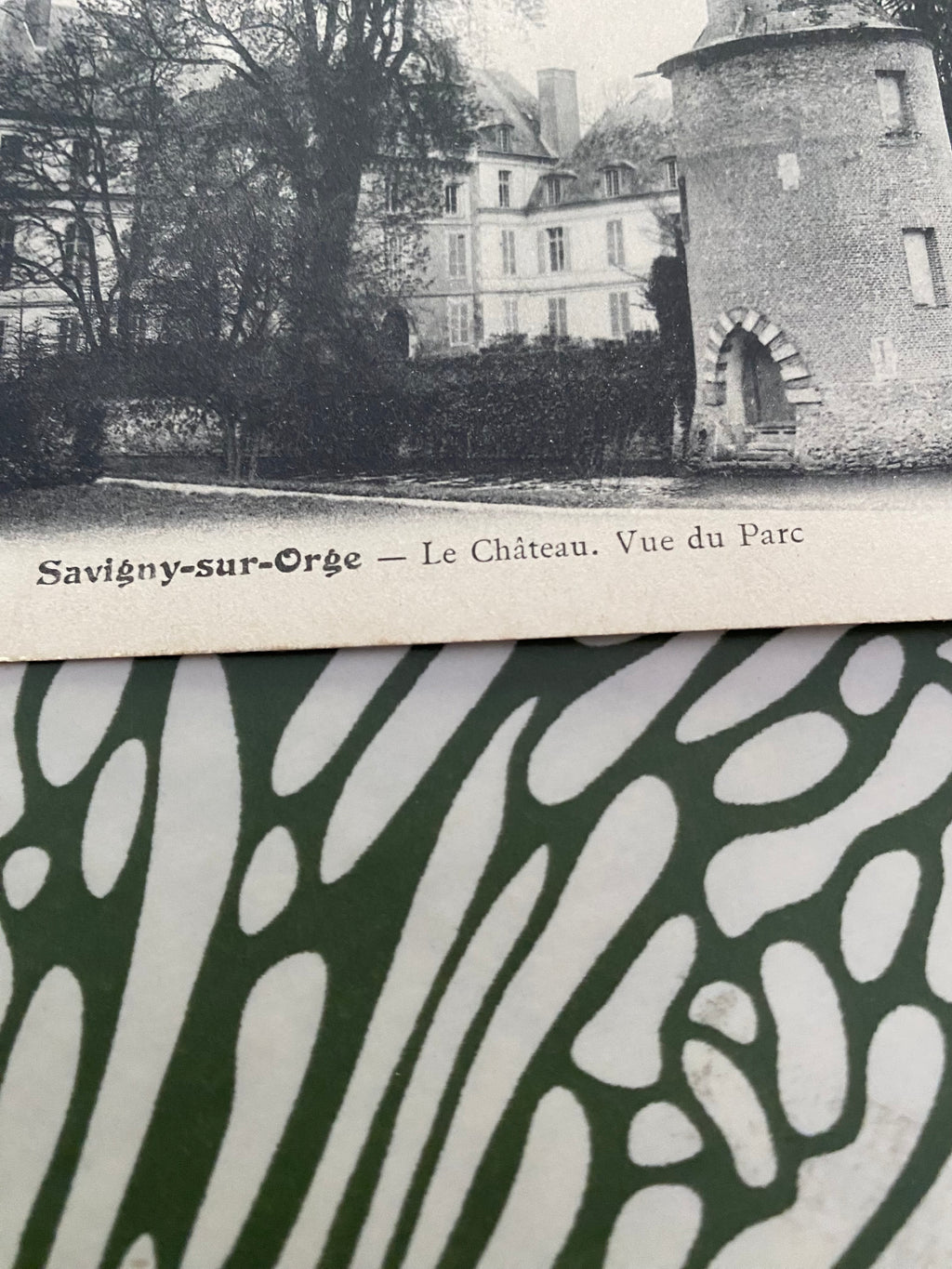 Carte postale ancienne savigny Sur Orge. Le Château vu du Parc.