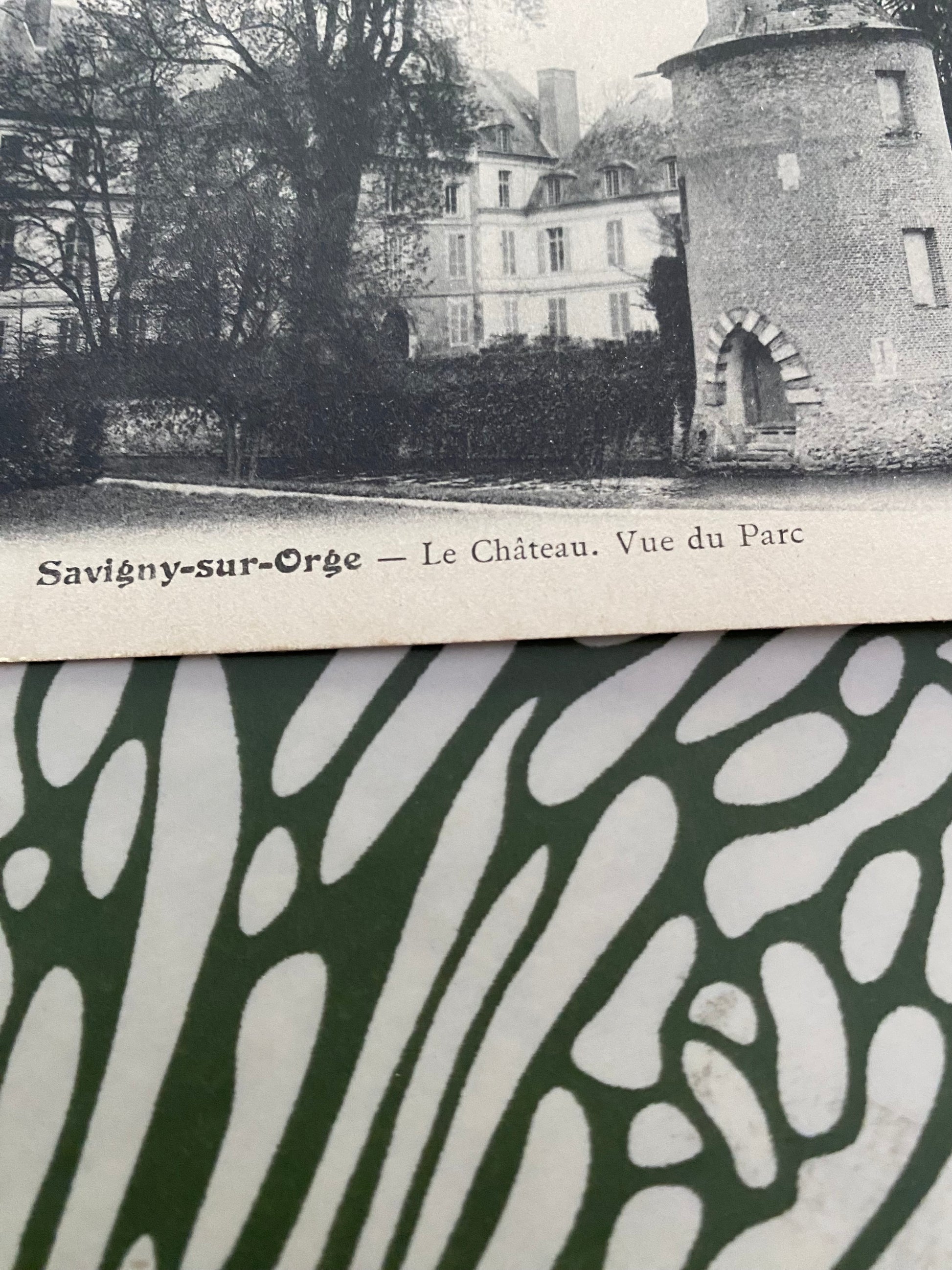 Carte postale ancienne savigny Sur Orge. Le Château vu du Parc.