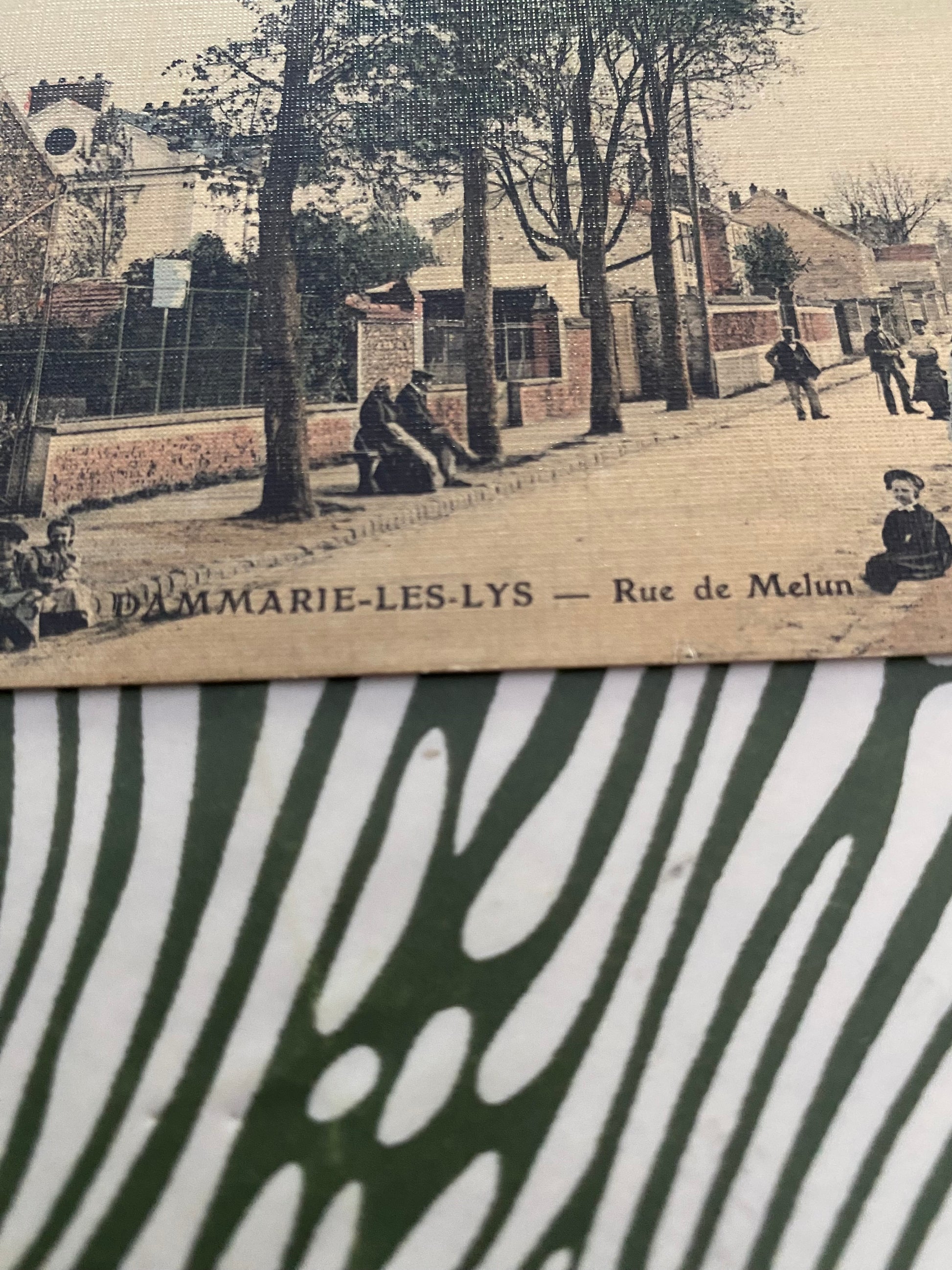 Carte postale ancienne Dammarie les Lys. Rue de Melun