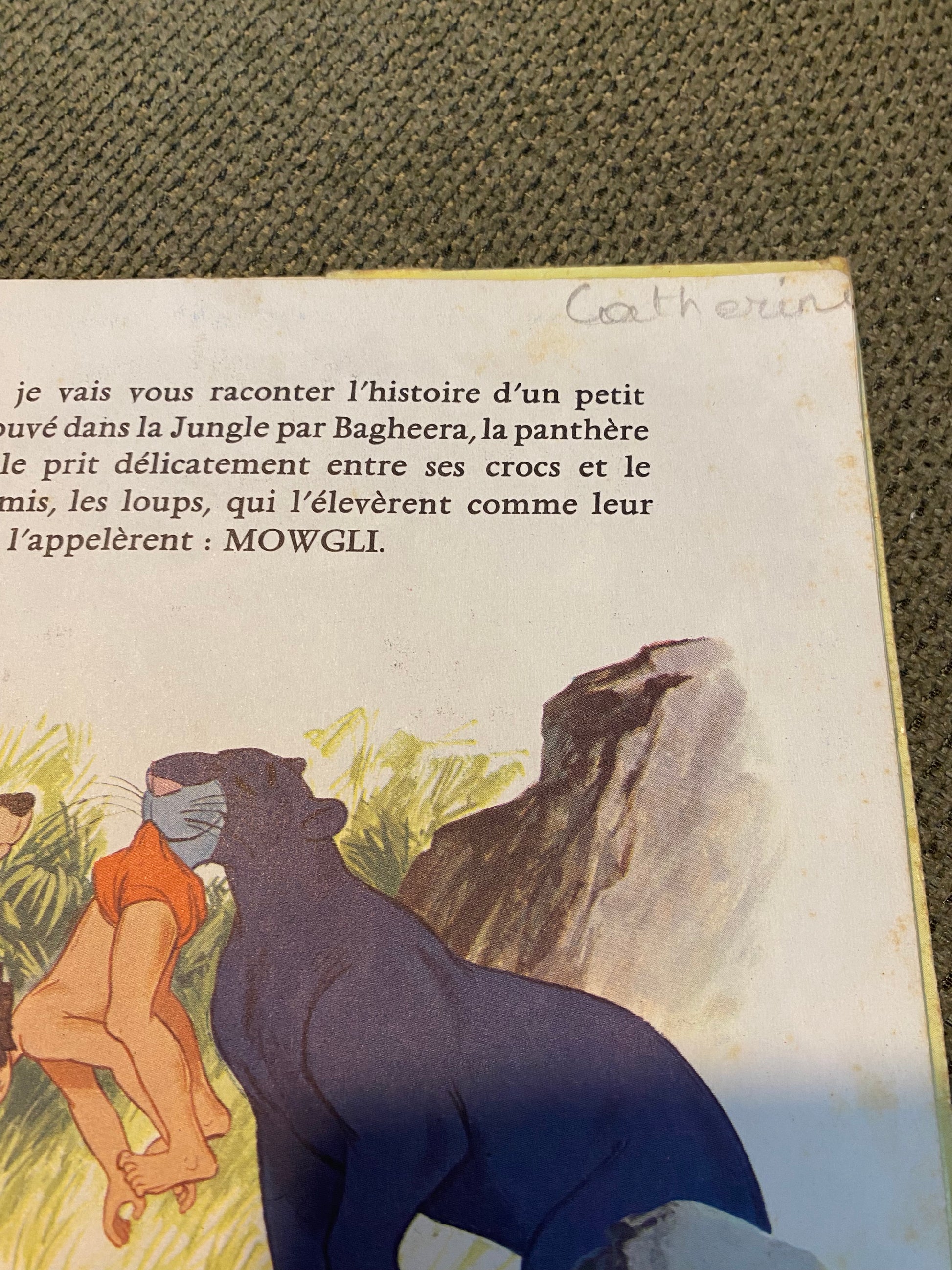 Le livre de la jungle livre disque vinyle d’après l’œuvre de Rodyard kipling