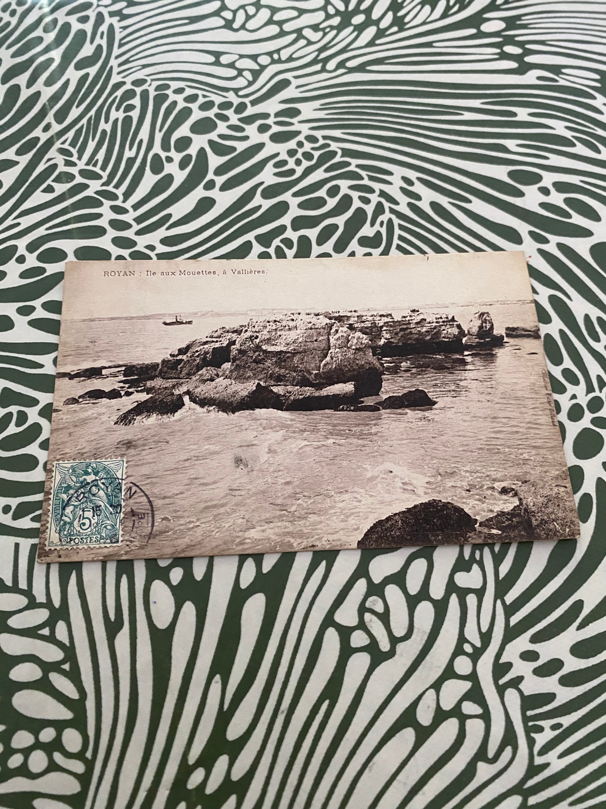 Carte postale ancienne. Royan Île aux Mouettes à Vallières