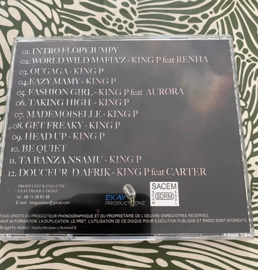CD musique Flopy Jumpy. Style