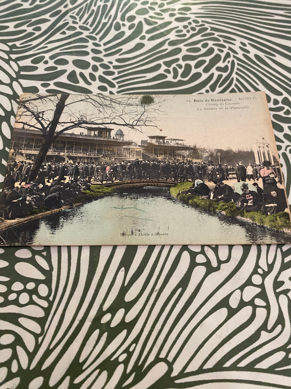 Carte postale ancienne Bois de Boulogne. Auteuil Champ de courses
