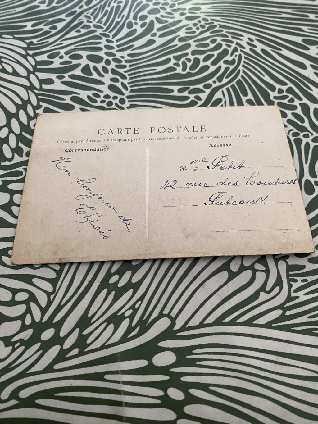 Carte postale ancienne Choisy-le-Roi. Jardin de la mairie