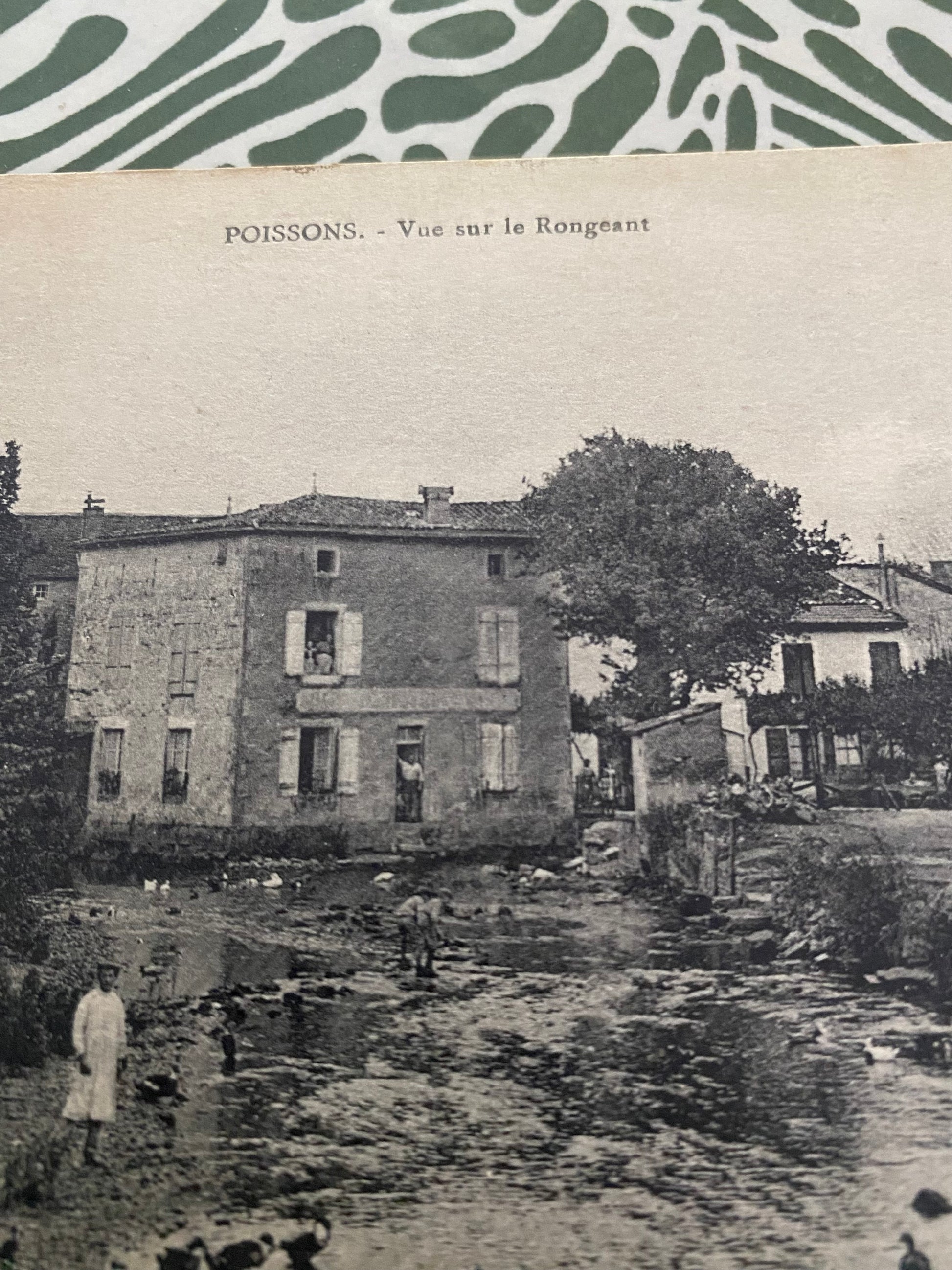 Carte postale ancienne Poissons. Vue sur le Rongeant