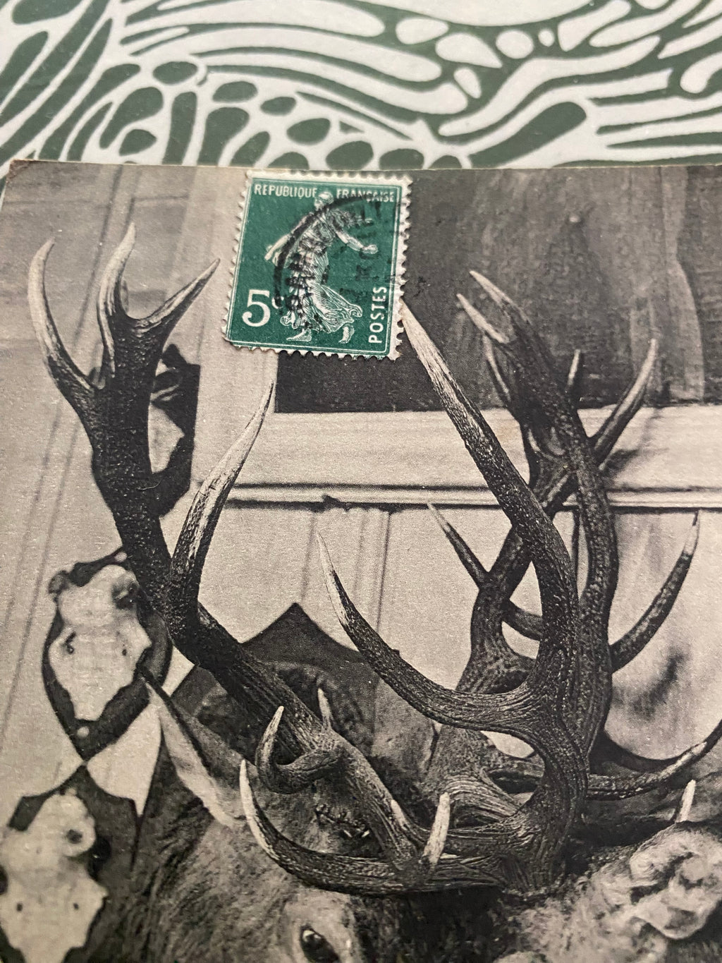 Carte postale ancienne La Celle-Les-Bordes Le manoir, les deux têtes de Cerfs