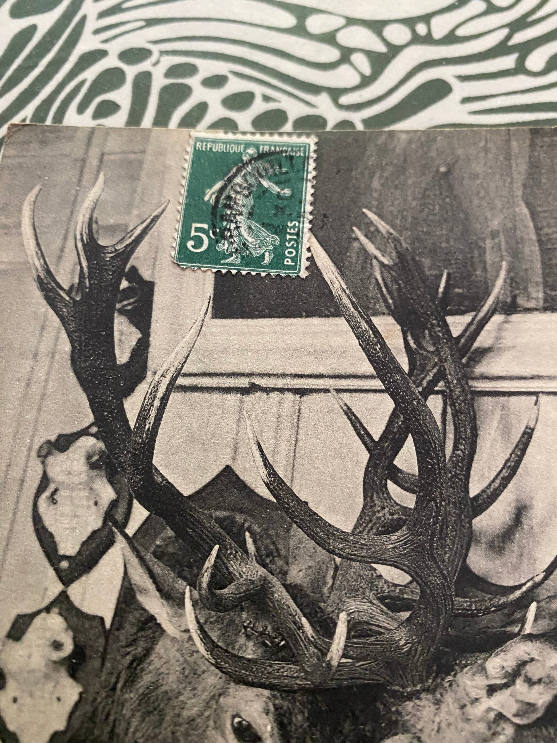 Carte postale ancienne La Celle-Les-Bordes Le manoir, les deux têtes de Cerfs