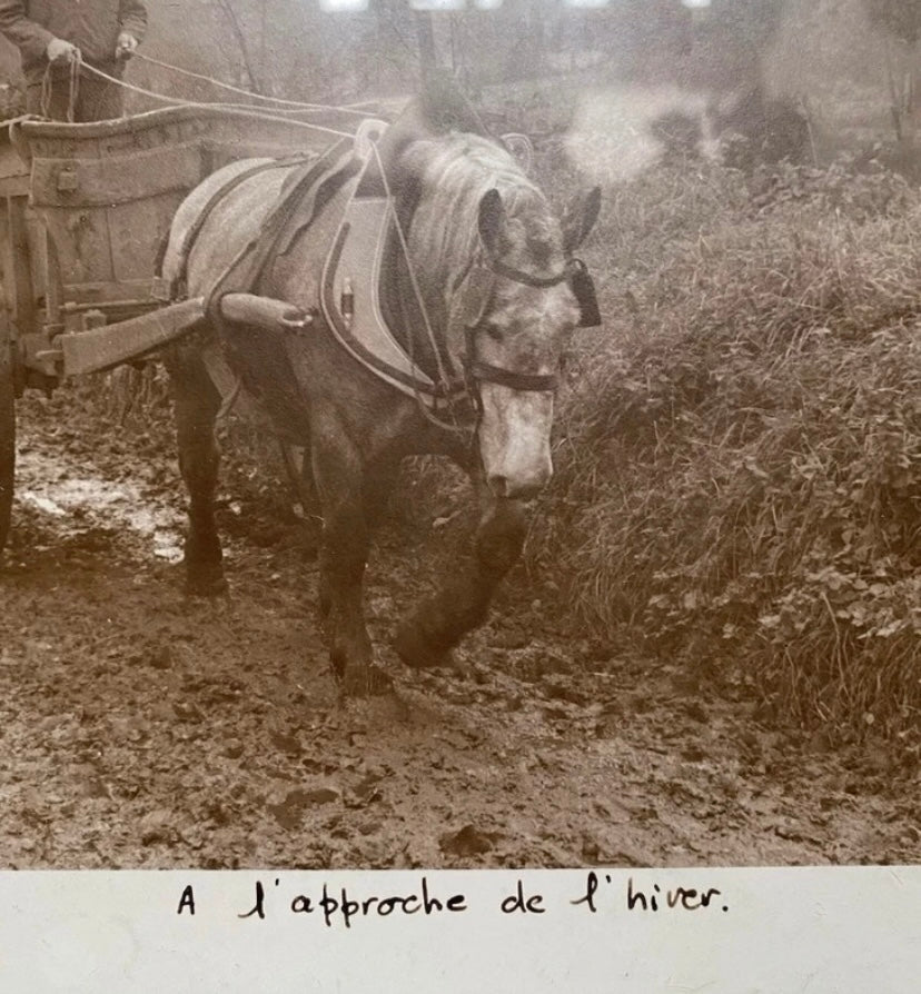 Photo véritable Gernot numérotée et signée. A l’approche de l’hiver