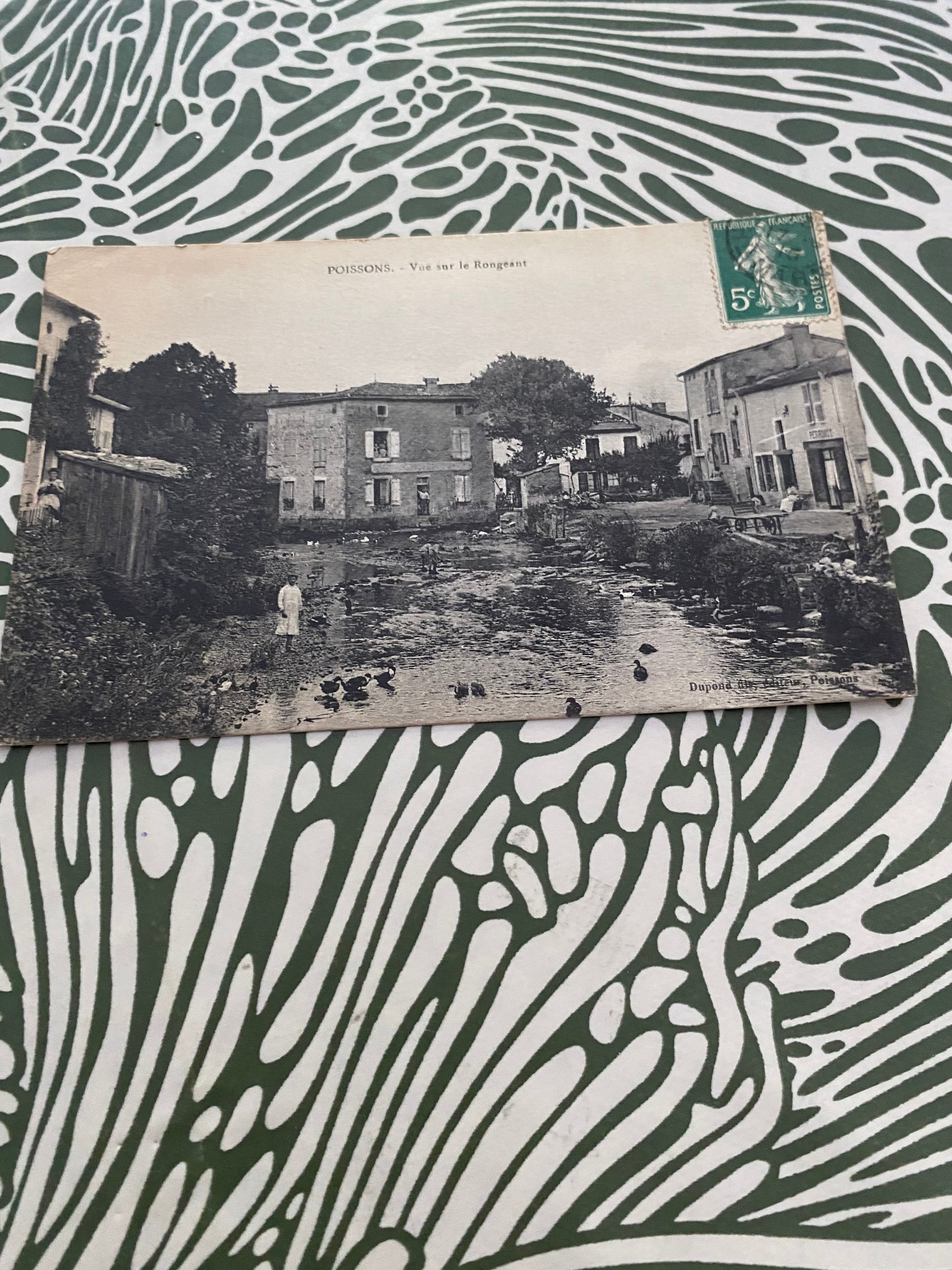 Carte postale ancienne Poissons. Vue sur le Rongeant