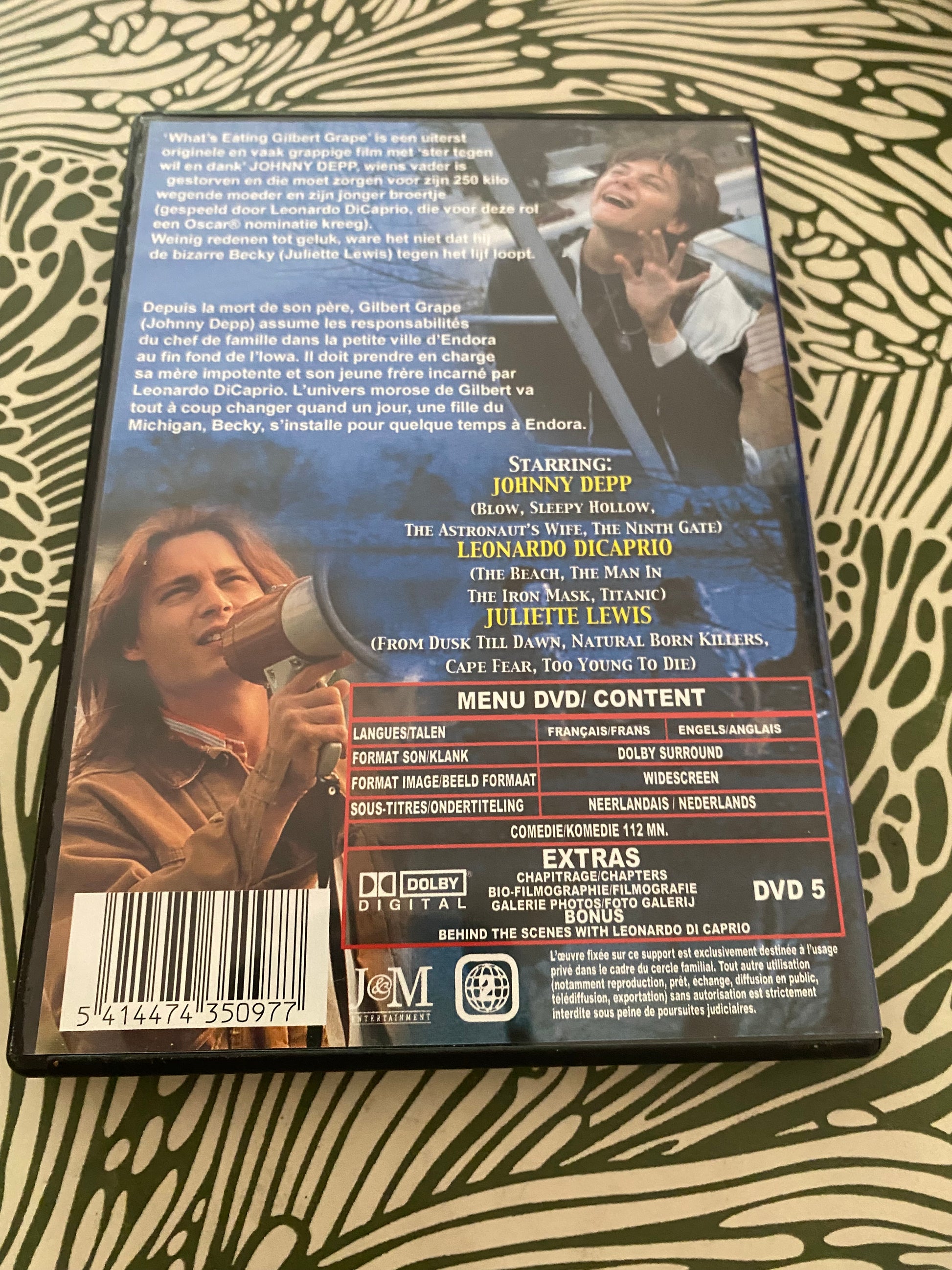 DVD film What’s Eating Gilbert Grape ?
