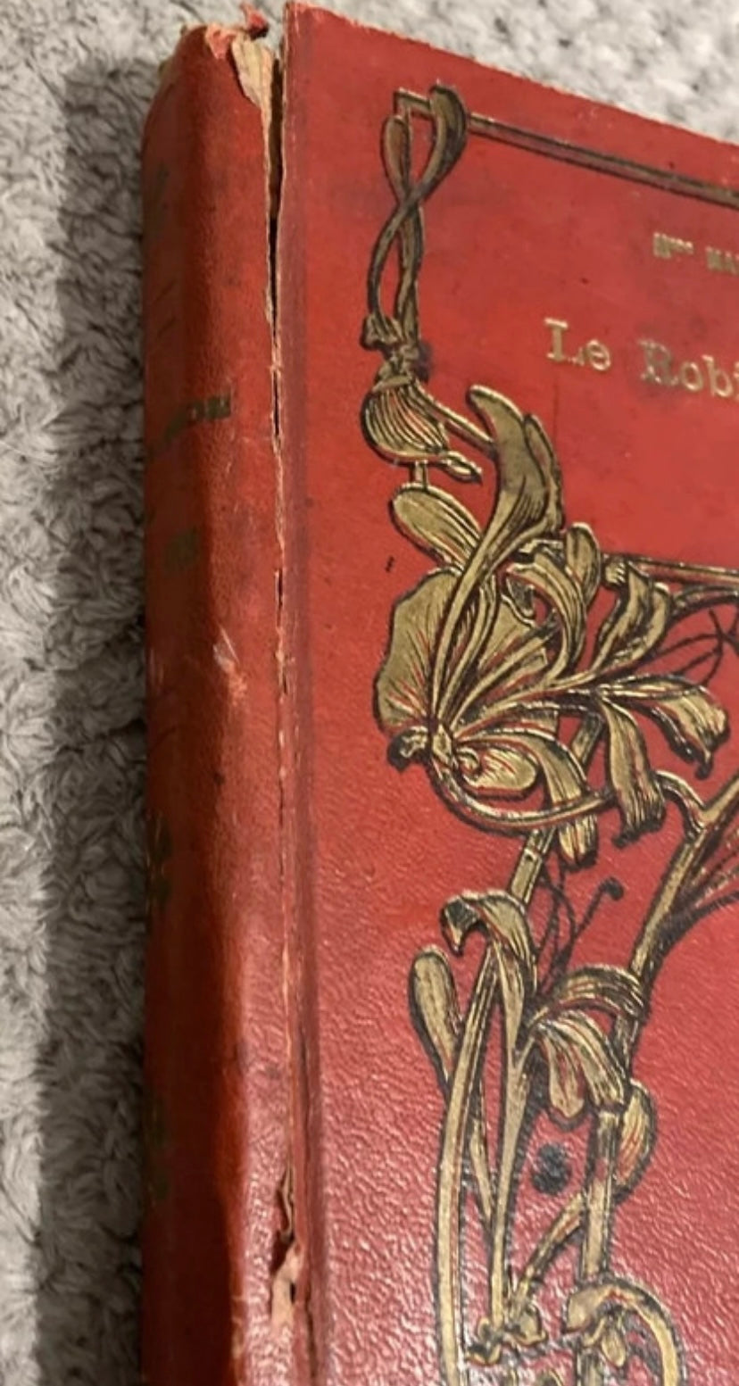 Livre ancien Robinson de douze ans. Mme Malles de Beaulieu. 1914