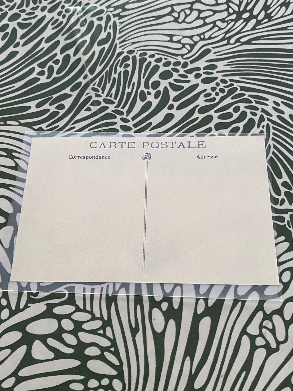 Carte postale ancienne. Le prince de Serbie et le Voivod Michitch observant les positions ennemies. Dans une pochette de protection