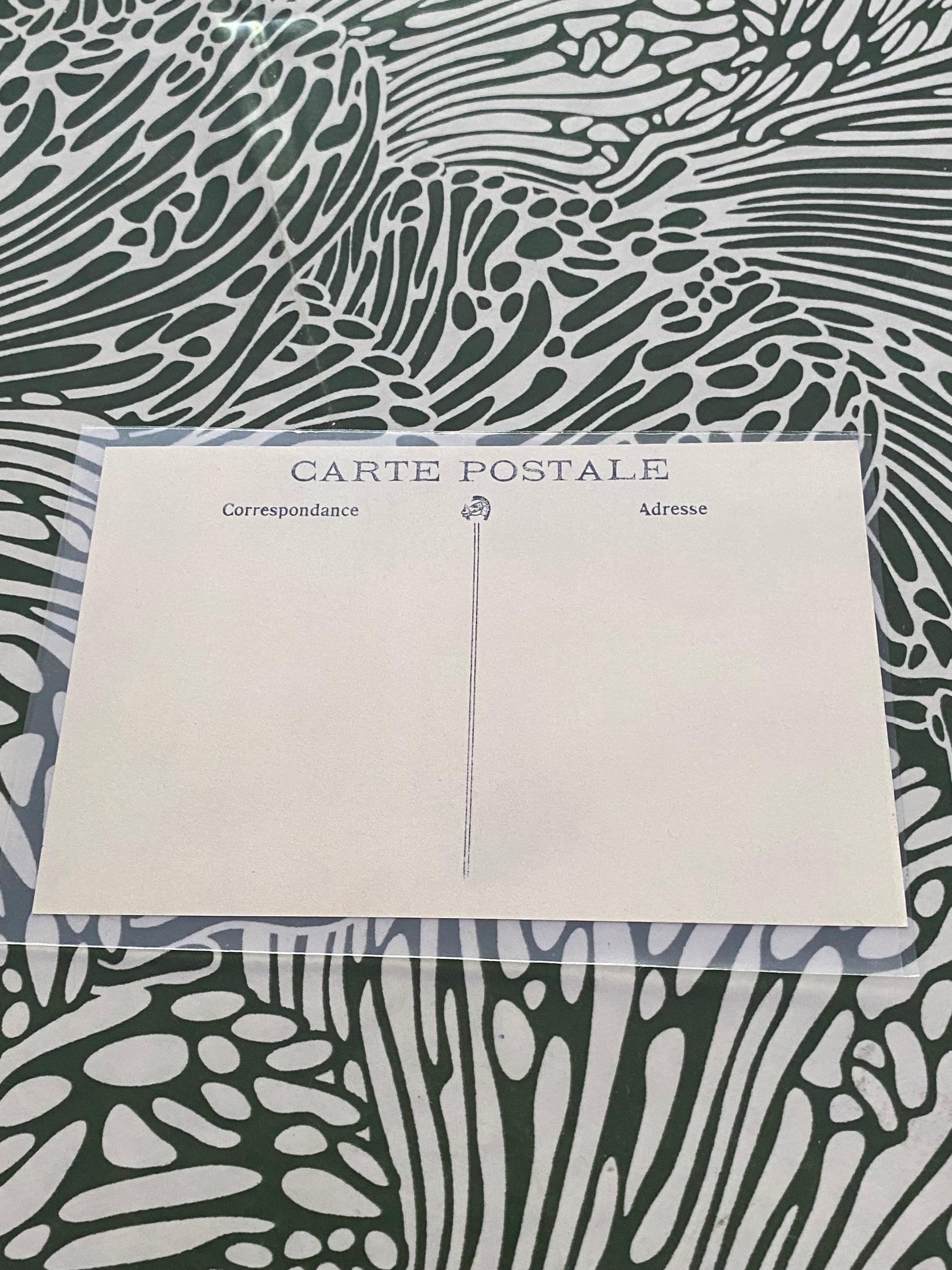 Carte postale ancienne. Le prince de Serbie et le Voivod Michitch observant les positions ennemies. Dans une pochette de protection