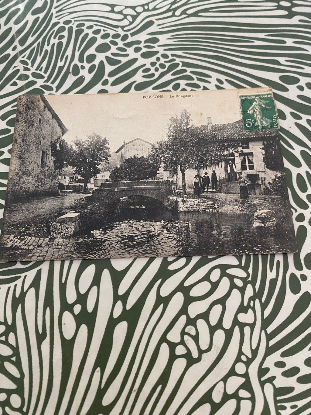 Carte postale ancienne. Poissons. Le Rongeant