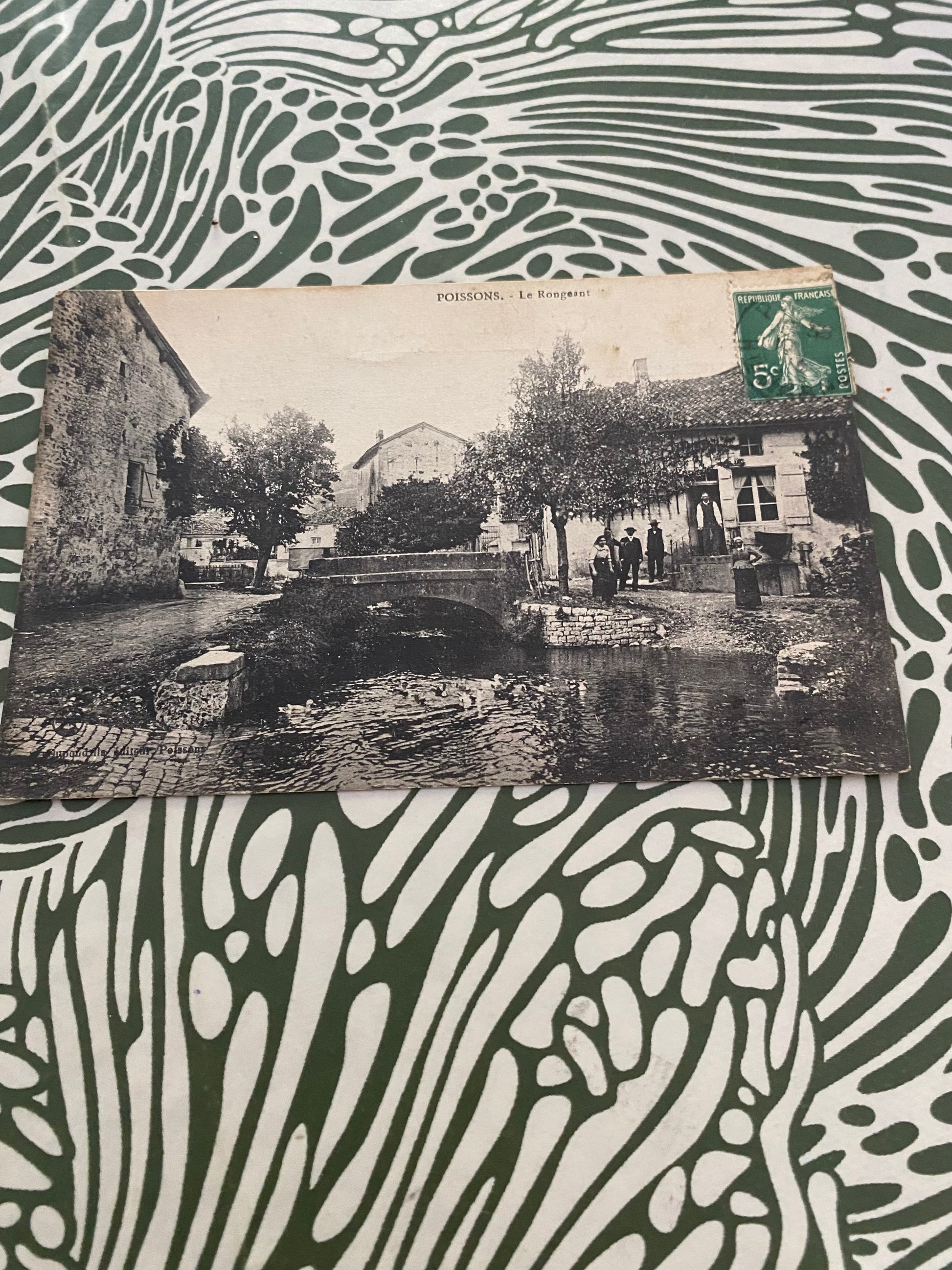 Carte postale ancienne. Poissons. Le Rongeant