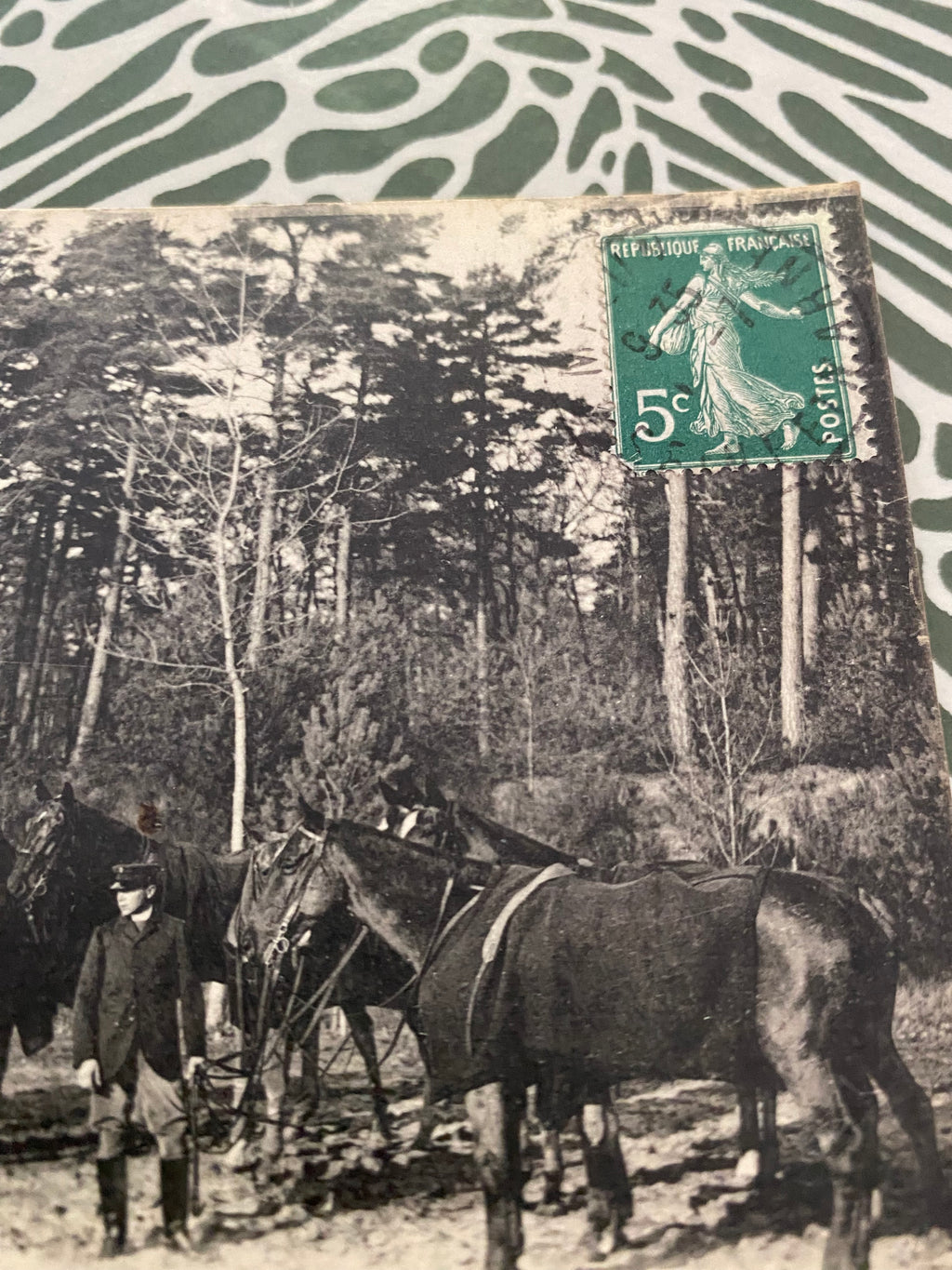 Carte postale ancienne. Chasse à courre en forêt de Fontainebleau. Relais de cheval