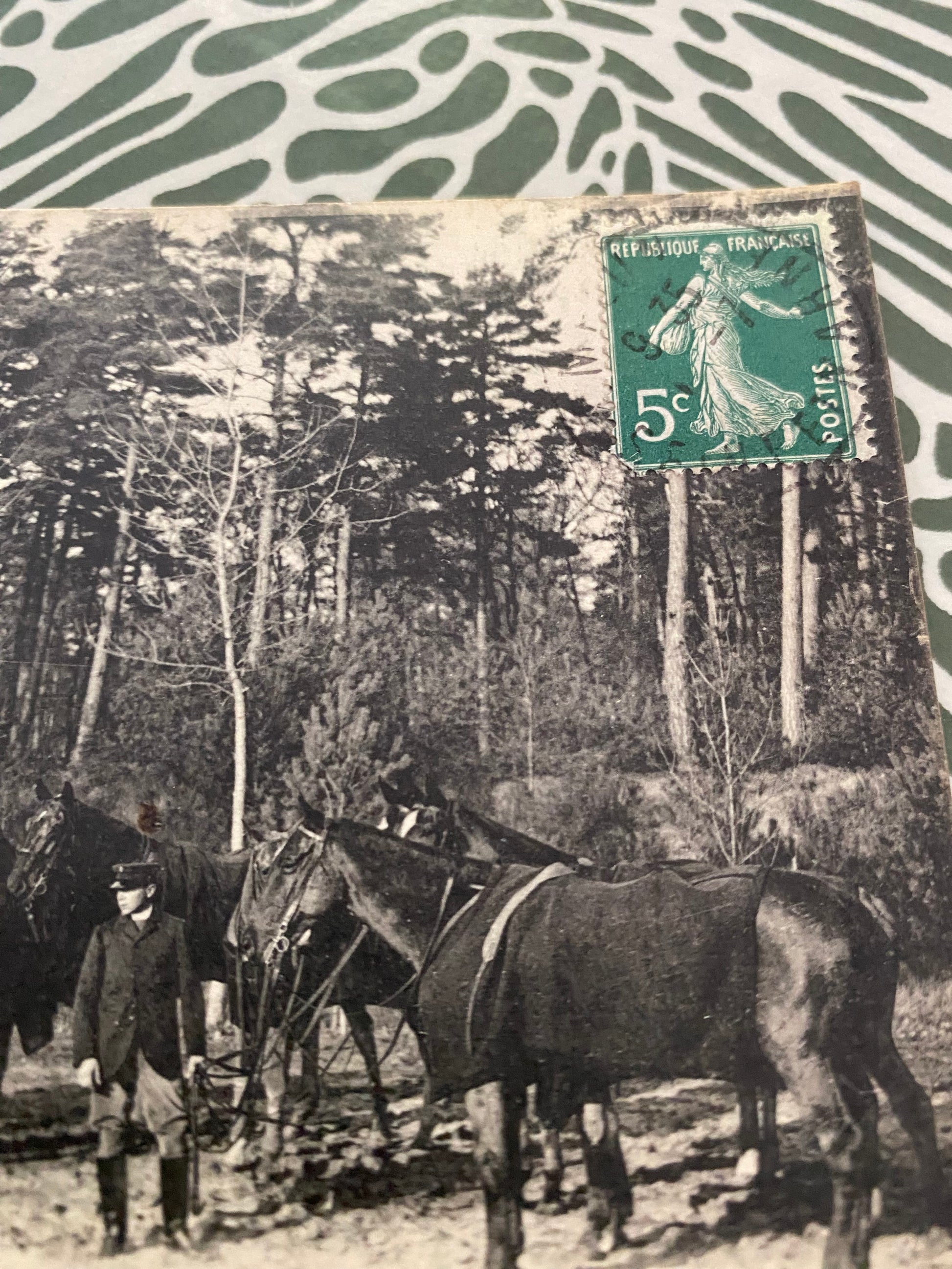 Carte postale ancienne. Chasse à courre en forêt de Fontainebleau. Relais de cheval