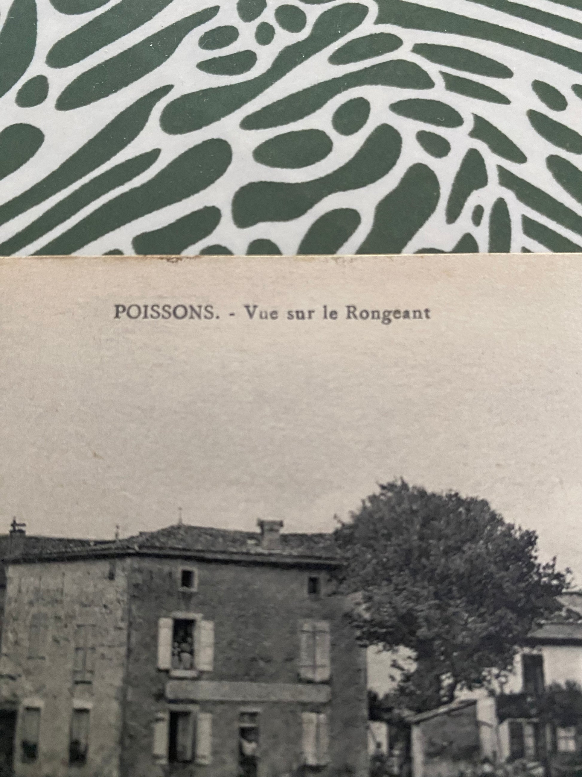 Carte postale ancienne Poissons. Vue sur le Rongeant