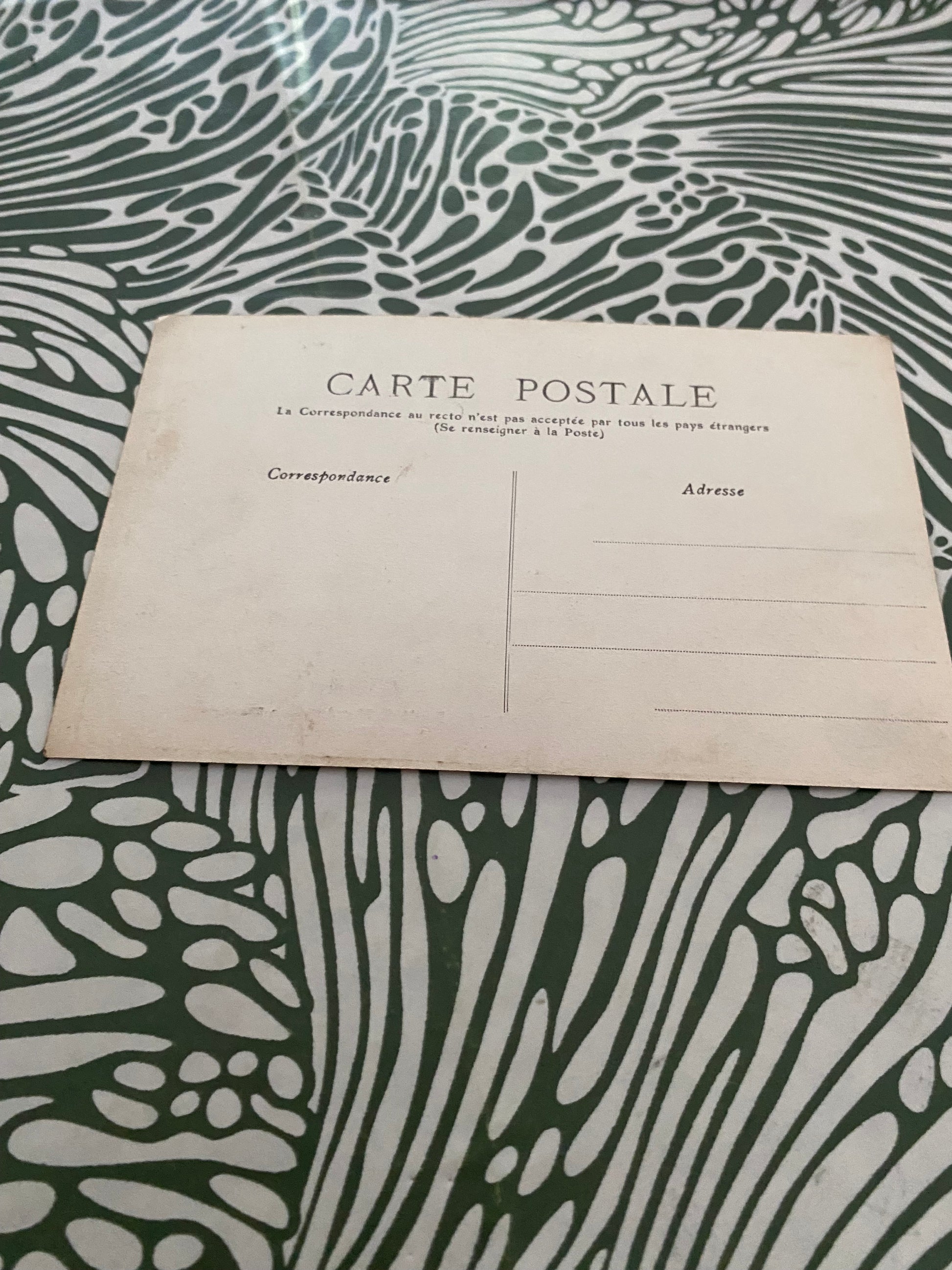 Carte postale ancienne Forêt de Meudon la clairière des grands arbres
