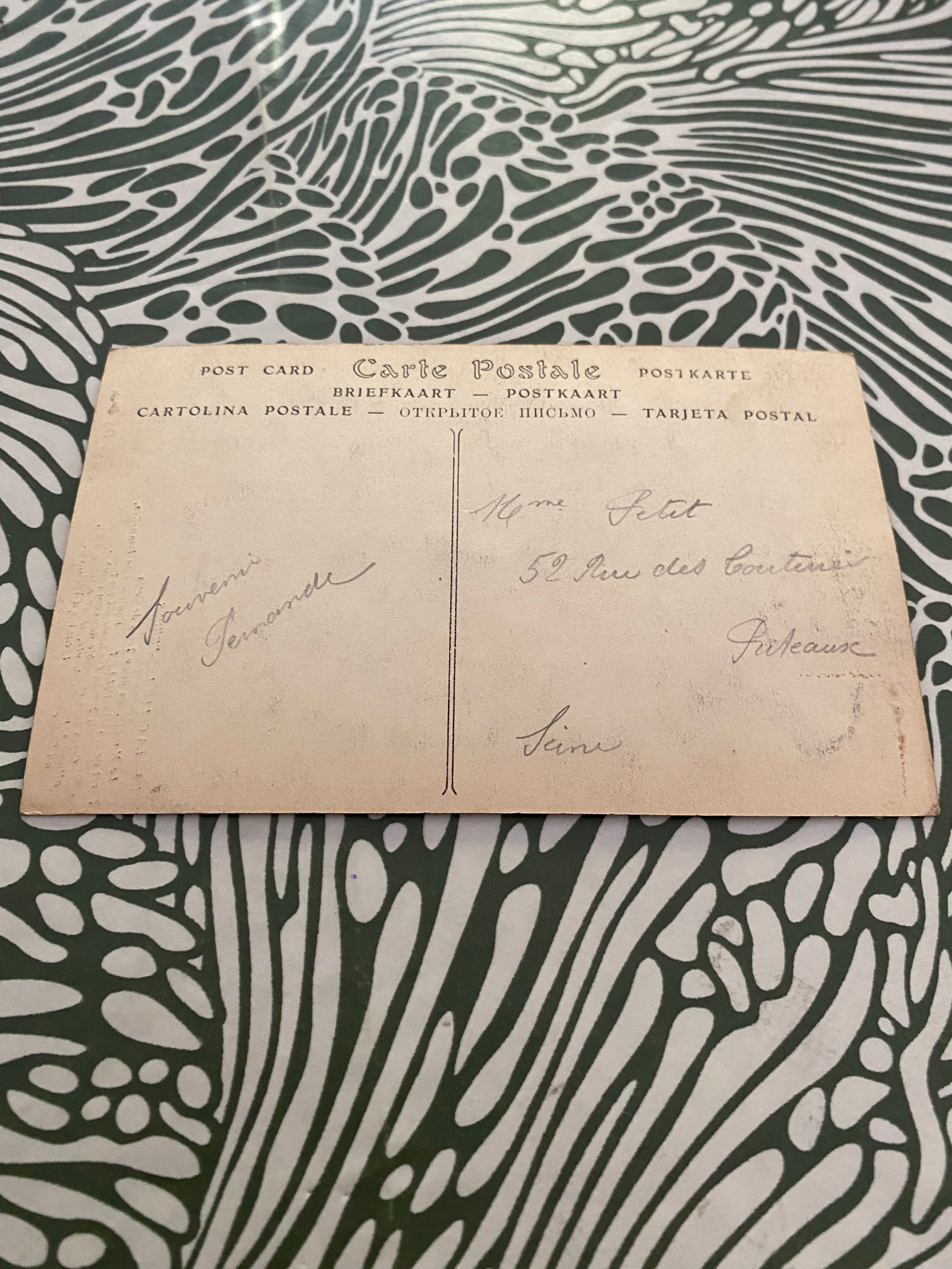 Carte postale ancienne La Celle-Les-Bordes Le manoir, les deux têtes de Cerfs