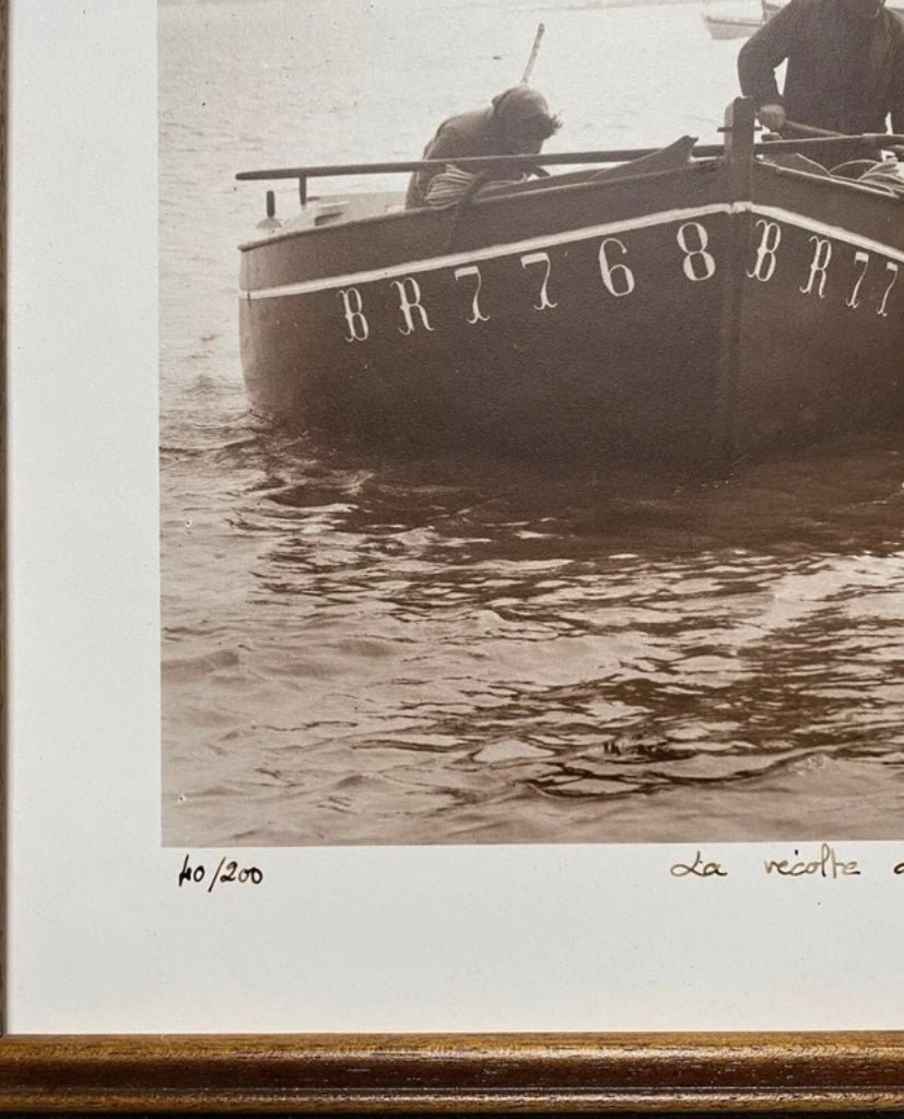 Photo véritable Gernot numérotée et signée la récolte du goémon