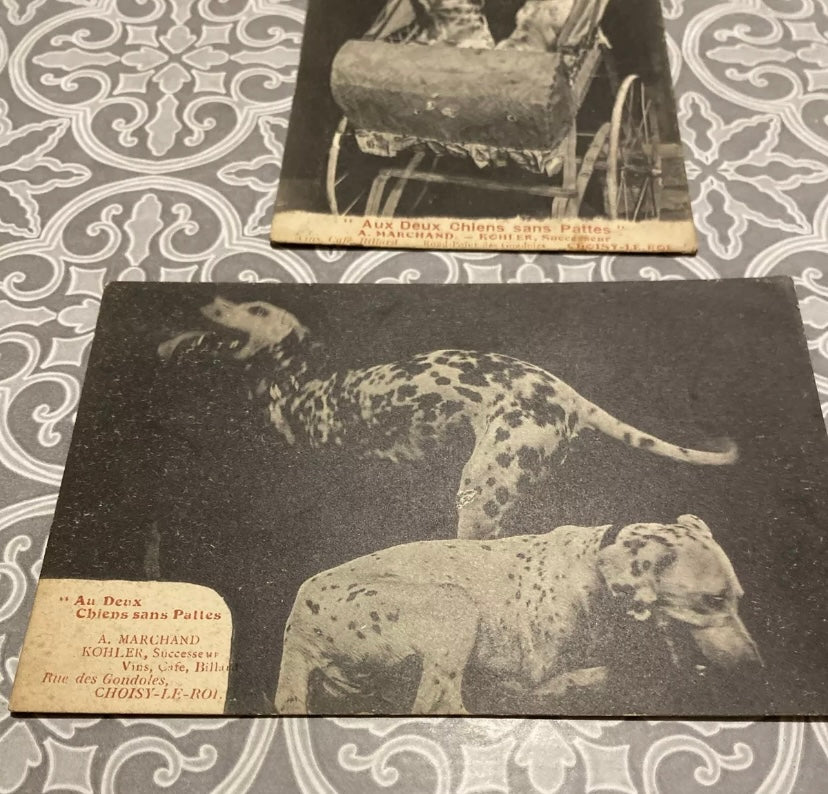 Cartes postales anciennes Choisy le Roi. Aux deux chiens sans pattes Lot de 2. Rare