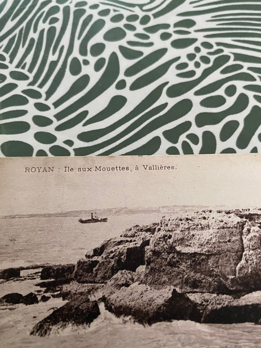 Carte postale ancienne. Royan Île aux Mouettes à Vallières